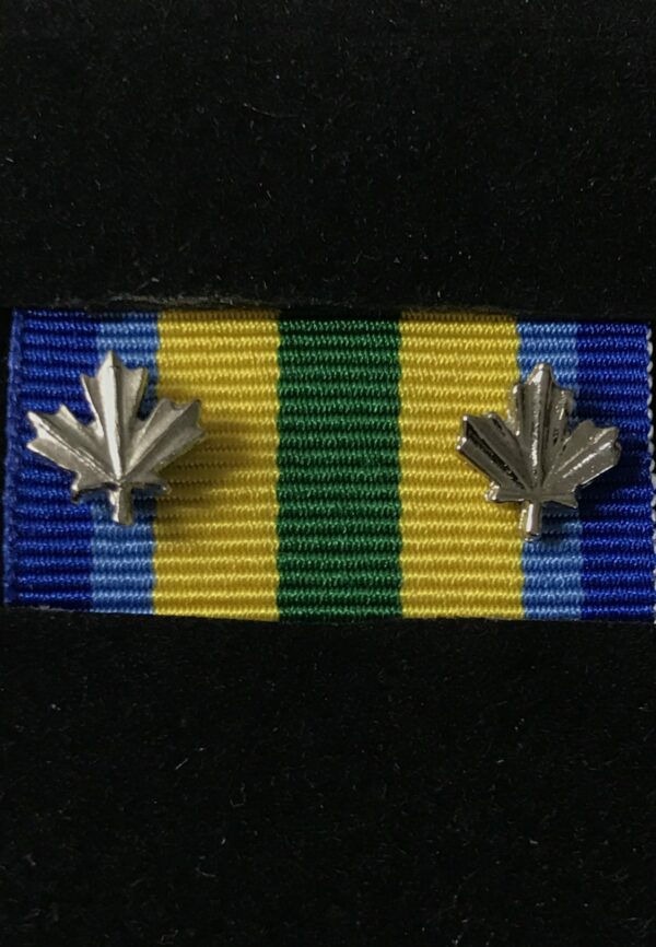 Peace Officer Exemplary Service Medal 2 Silver Leafs
