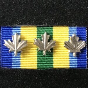 Peace Officer Exemplary Service Medal 3 Silver Leafs