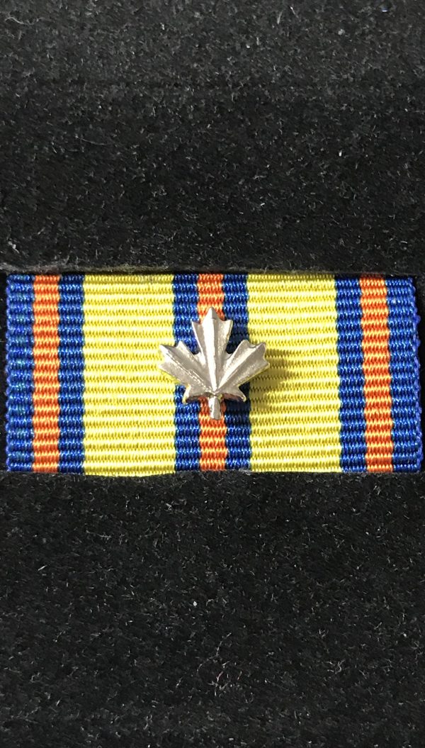 Emergency Medical Services Exemplary Service Medal 1 Silver Leaf