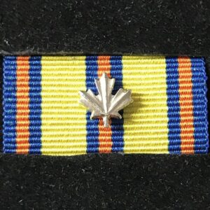 Emergency Medical Services Exemplary Service Medal 1 Silver Leaf