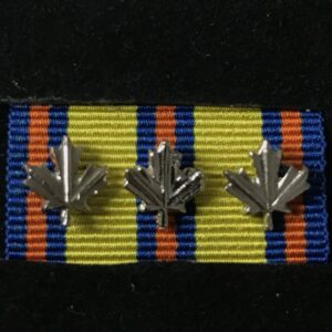 Emergency Medical Services Exemplary Service Medal 3 Silver Leafs