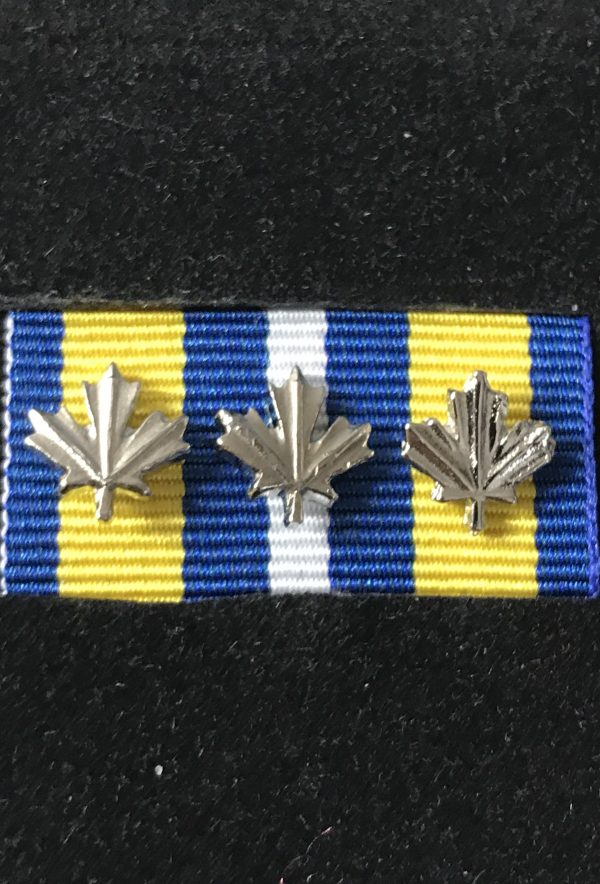 Canadian Coast Guard Exemplary Service Medal 3 Silver Leafs