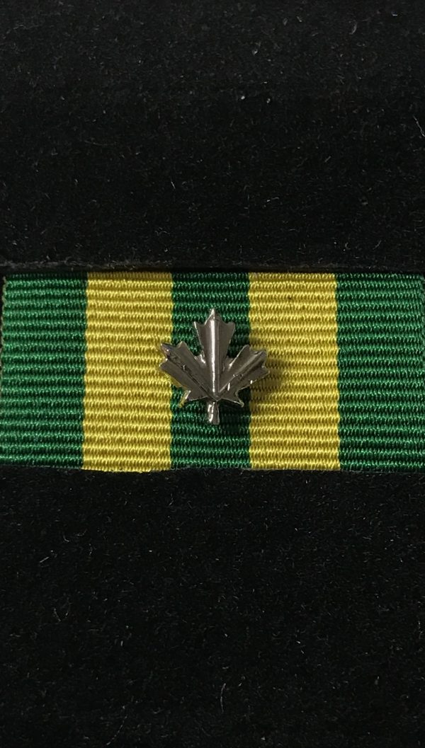 Corrections Exemplary Service Medal 1 Silver Leaf
