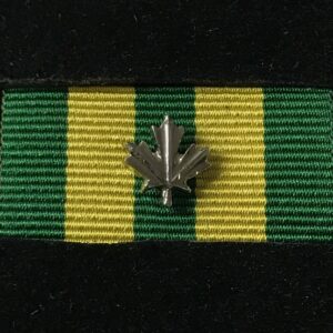 Corrections Exemplary Service Medal 1 Silver Leaf