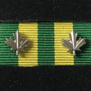 Corrections Exemplary Service Medal 2 Silver Leafs