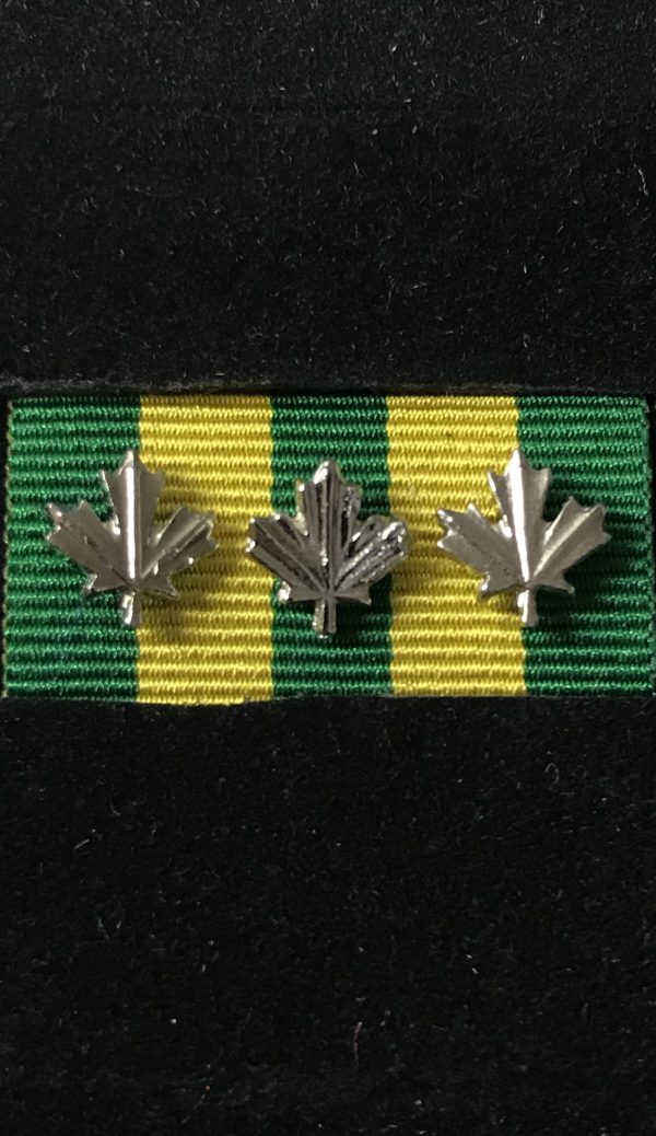 Corrections Exemplary Service Medal 3 Silver Leafs