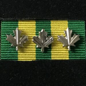 Corrections Exemplary Service Medal 3 Silver Leafs