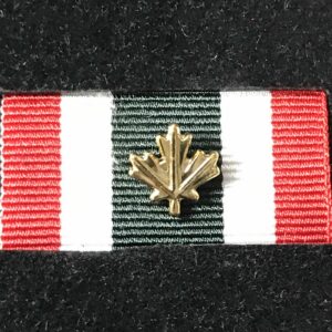 Médaille du service spécial avec feuille d'or