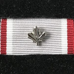 Médaille du service opérationnel – EXPÉDITION avec feuille d'argent