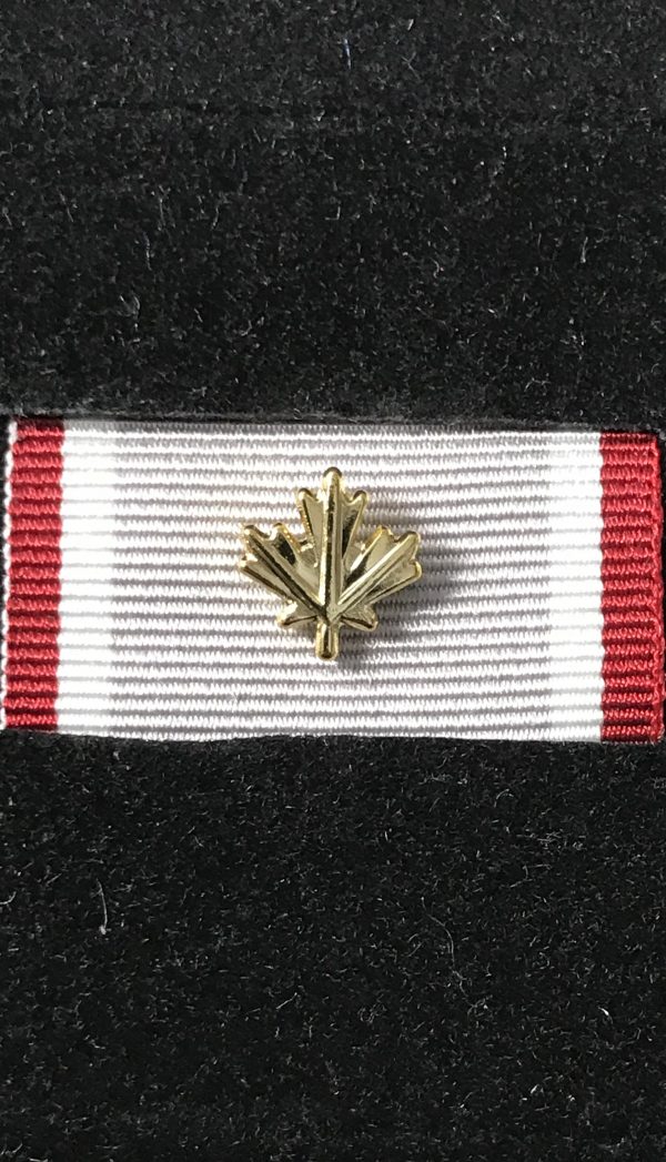 Médaille du service opérationnel – EXPÉDITION avec feuille d'or
