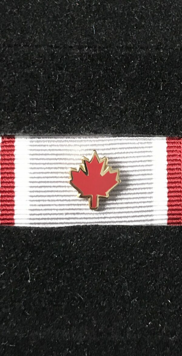Operational Service Medal – EXPEDITION with Red Leaf