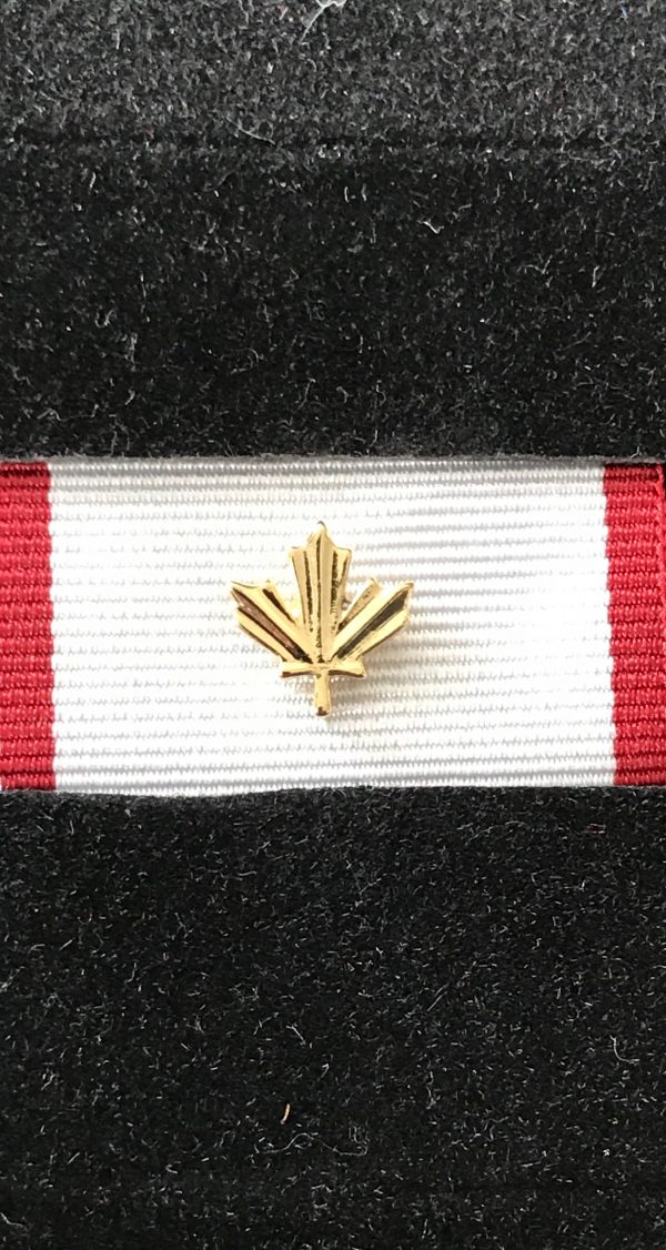 Operational Service Medal – HUMANITAS (OSM-HUM) with Gold Leaf
