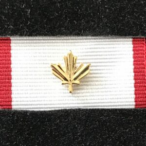 Médaille du service opérationnel – HUMANITAS (OSM-HUM) avec feuille d'or