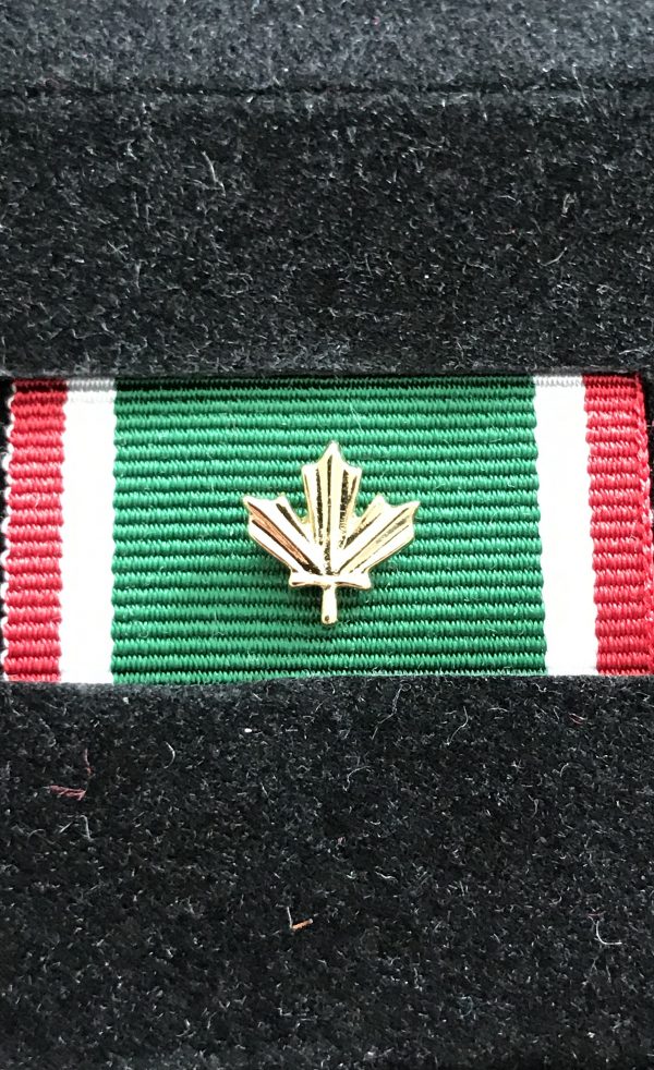 Operational Service Medal – Sudan (OSM-S) with Gold Leaf