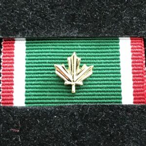 Médaille du service opérationnel – Soudan (OSM-S) avec feuille d'or