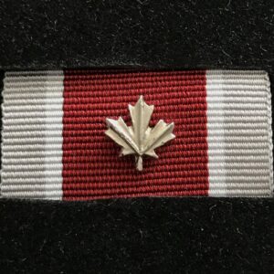 Médaille du service général - EXPÉDITION (GSM-EXP) avec feuille d'argent