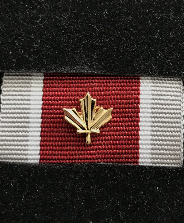 Médaille du service général - EXPÉDITION (GSM-EXP) avec feuille d'or