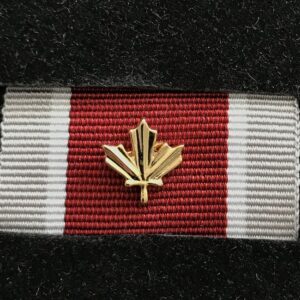 Médaille du service général - EXPÉDITION (GSM-EXP) avec feuille d'or