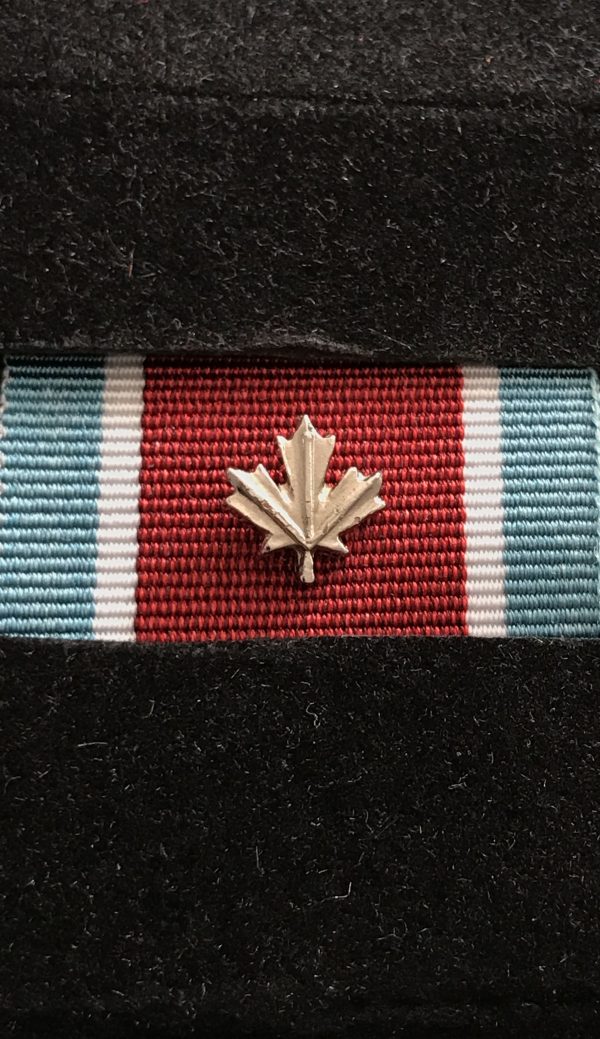 General Service Medal - ALLIED FORCE (GSM-AF) with Silver Leaf