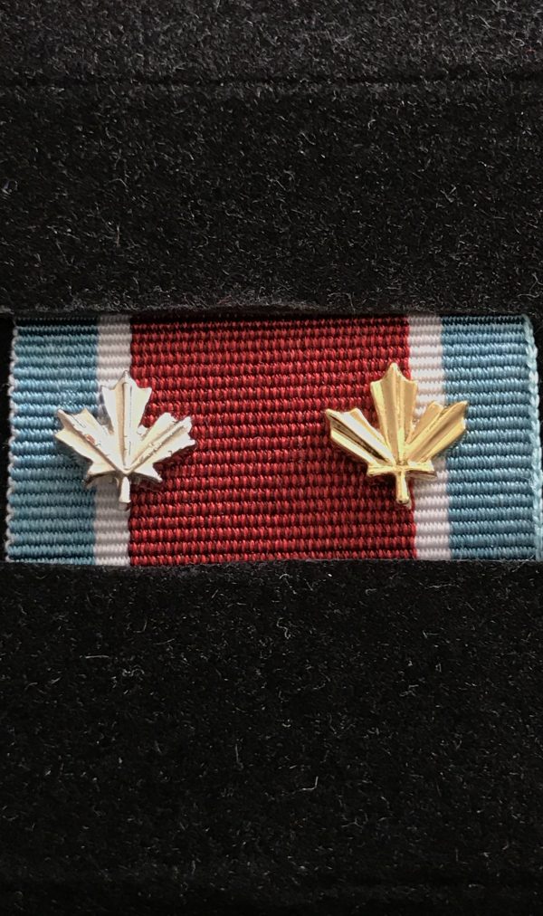 General Service Medal - ALLIED FORCE (GSM-AF) with Silver & Gold Leaf