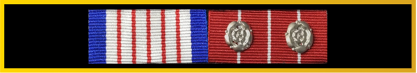 Long Shank Ribbon
