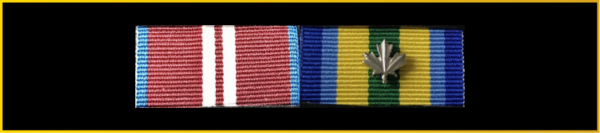 Velcro Backed Ribbon