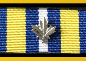 Velcro Backed Ribbon