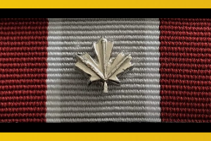 Velcro Backed Ribbon