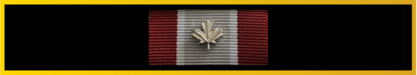 Velcro Backed Ribbon