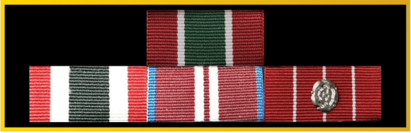 Long Shank Ribbon