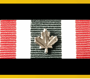 Velcro Backed Ribbon