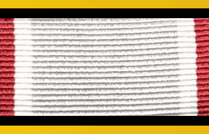 Velcro Backed Ribbon